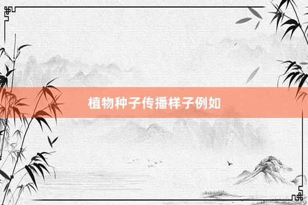 植物种子传播样子例如