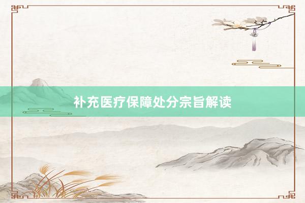 补充医疗保障处分宗旨解读