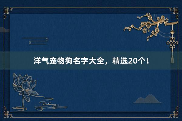 洋气宠物狗名字大全，精选20个！