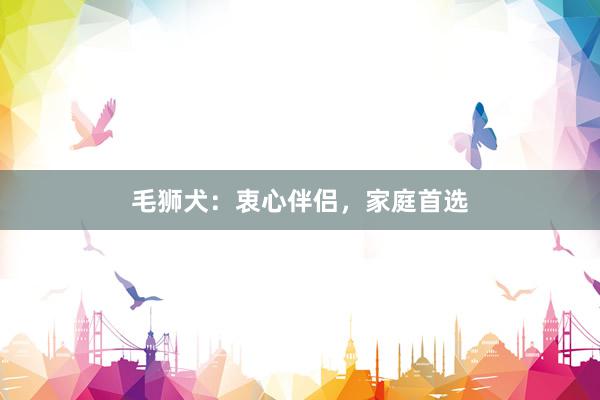 毛狮犬：衷心伴侣，家庭首选