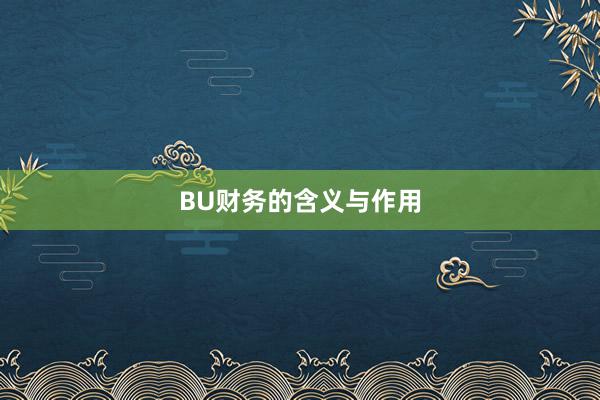 BU财务的含义与作用
