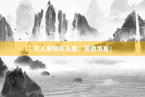 可人宠物狗头像，萌趣填塞！