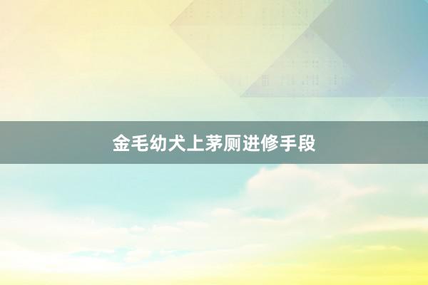 金毛幼犬上茅厕进修手段